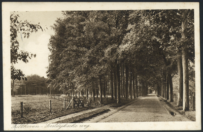 17018 Gezicht op de Soestdijkseweg te Bilthoven (gemeente De Bilt).